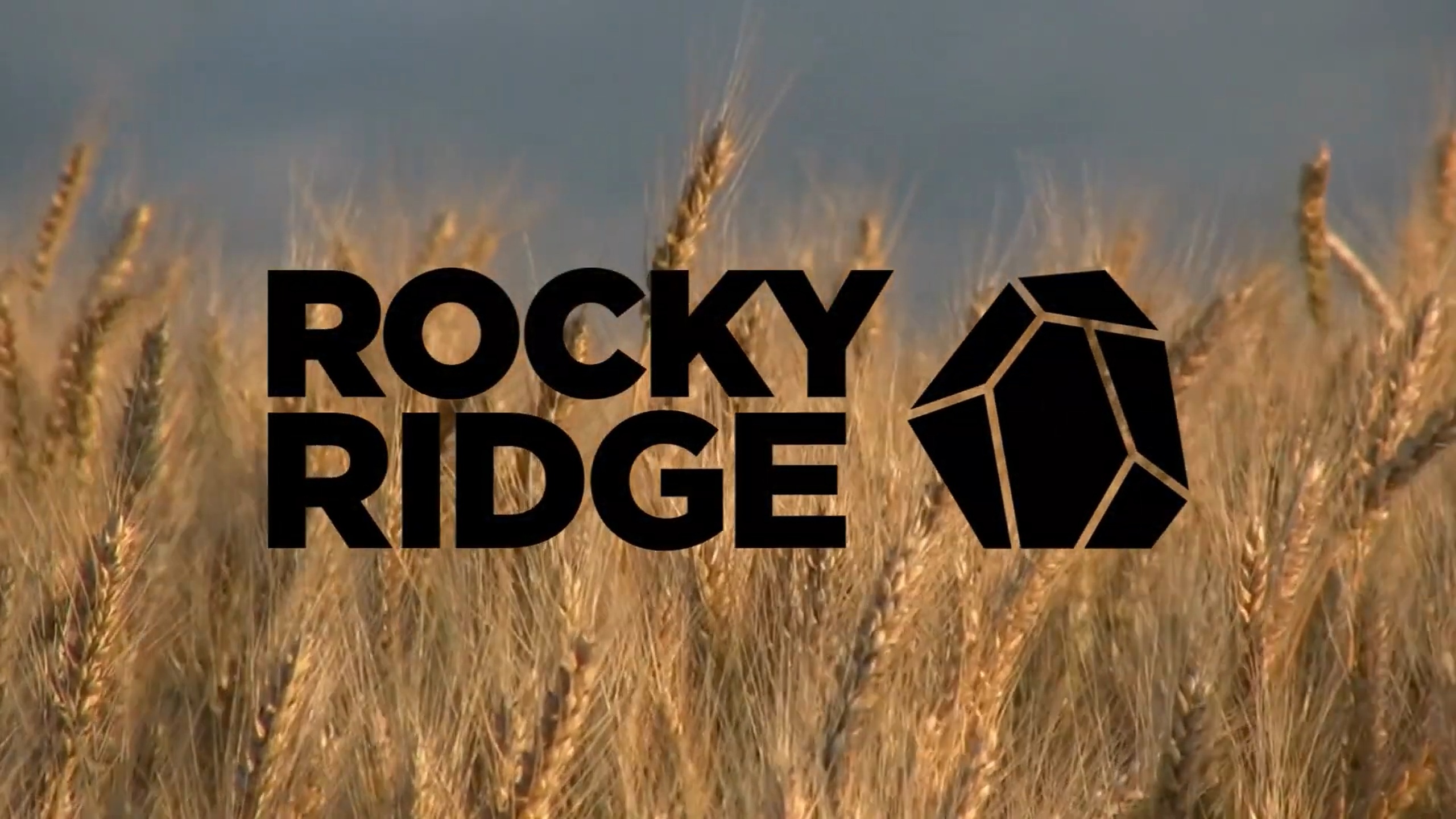 DALUM Customer Testimonial - Rocky Ridge Brewing